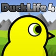 Vida Duck 4